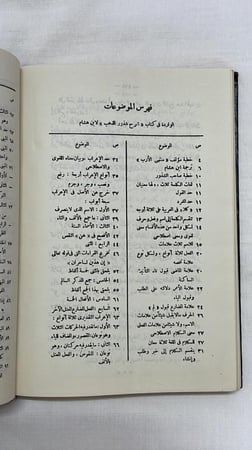 شرح شذور الذهب _ ابن هشام الأنصاري