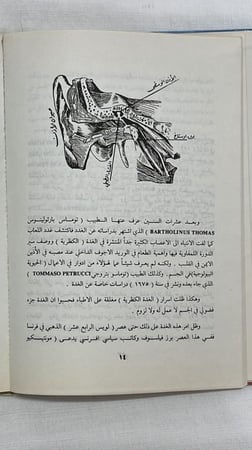 كيفية اكتشاف الهرمونات _ الدكتور أمين رويحه