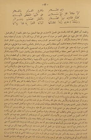 غاية البيان : شرح زايد بن رسلان - محمد بن أحمد الأنصاري