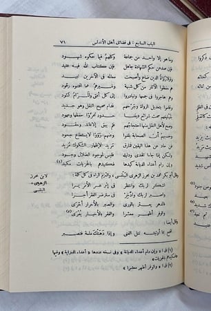 نفخ الطيب من غصن الأندلس الرطيب _ أحمد بن محمد المقري التلمساني