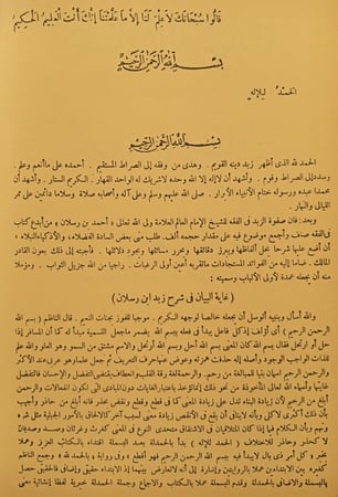 غاية البيان : شرح زايد بن رسلان - محمد بن أحمد الأنصاري