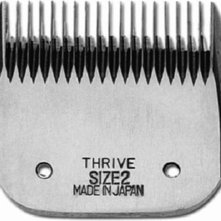 شفرة غيار ماكينة ثرايف رقم 2 (6mm)