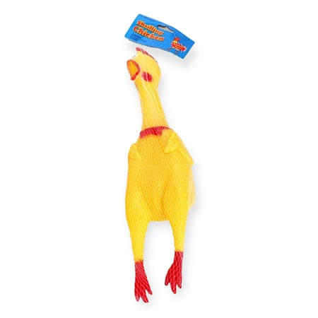 الدجاجة الصارخة ( كبير )