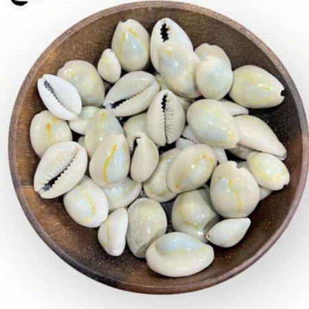 ودع مغربي 100جرام