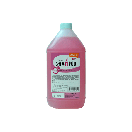 شامبو لولين LOLANE Herbal Shampoo بالفراولة وفيتامين B5 – نعومة ولمعان للشعر 3000 مل-شامبو توفير- شامبو الشعر