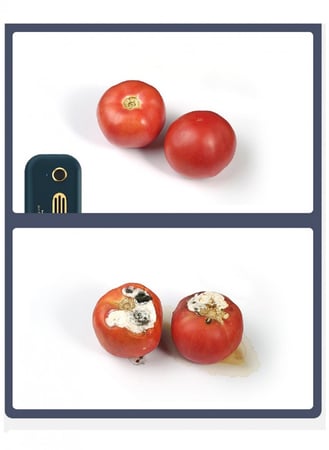 جهاز تنقية الهواء ومزيل الرائحة صغير قابل لإعادة الشحن USB في غرفة النوم والمكتب والثلاجة / أزرق