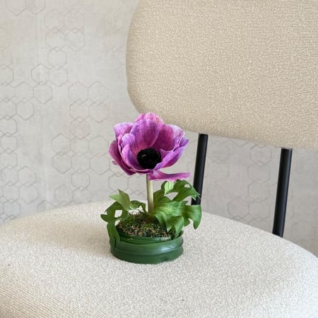 ( خدمة ) ضـيـافة