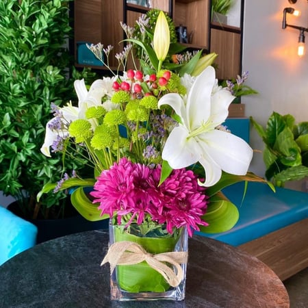 فازة رقة الزنبق