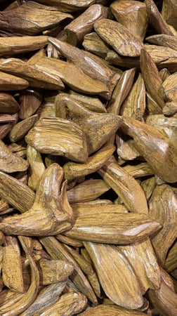 مروكي الكنق طبيعي معالج  فاخر للمناسبات اوقيه