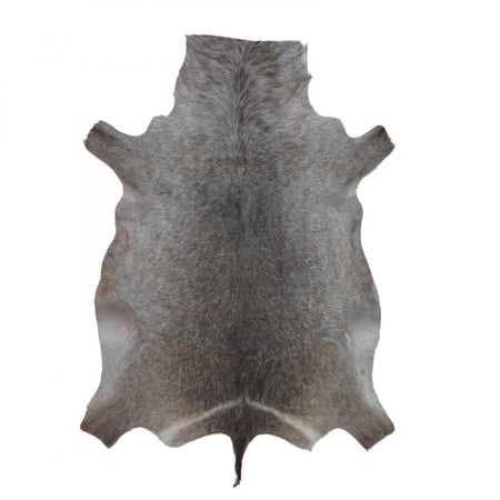 جلد ووتر باك