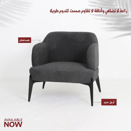 كرسي قماش بذراعين - 4 الوان