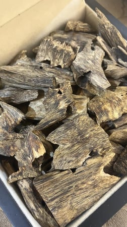 عود كينام طبيعي دبل سوبر أوقية