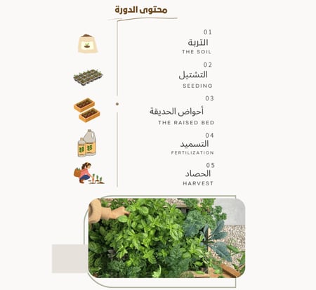 دليلك الشامل للزراعة العضوية