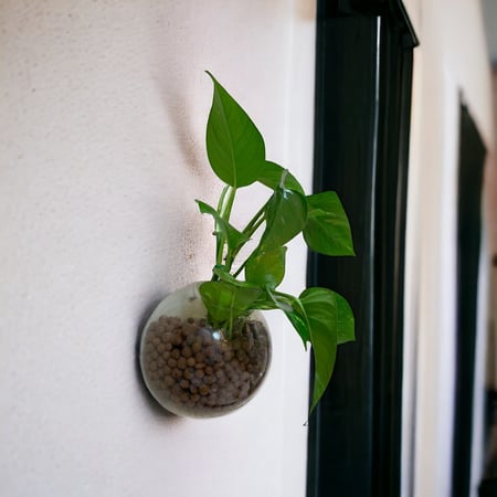 بوتس جدارية كبير