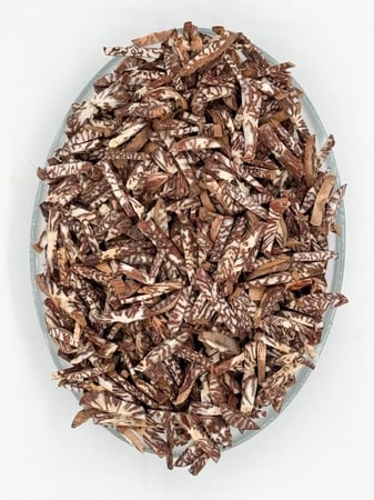 Supari Long Betel Nut