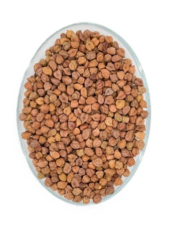 Black Chana yasmin store