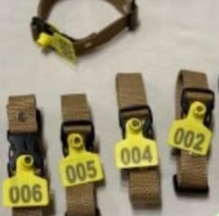 اطواق ترقيم الحلال من 1-300