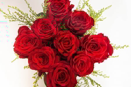 مزهرية ربيع القلب