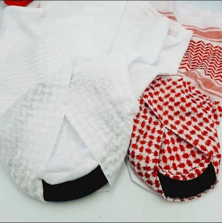 دقلة العارضة النجديه يوم التاسيس