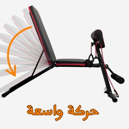 بينش متعدد الاستخدامات