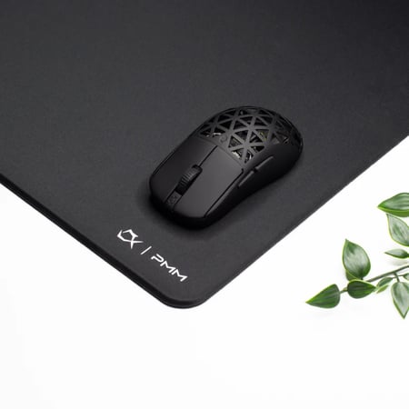 C1P // QUANTUM EDITION