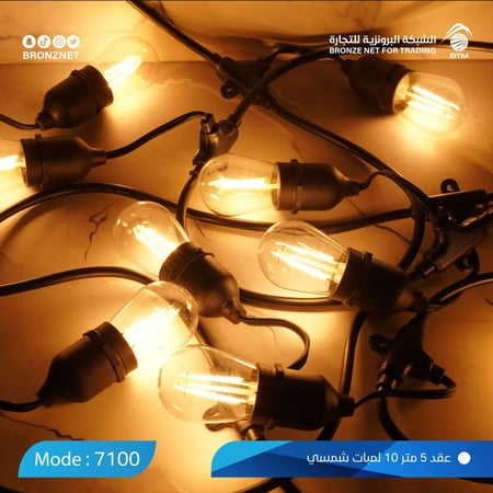 عقد لمبات زينة بطول 5 متر غير قابلة للكسر-متجر الشبكة البرونزية