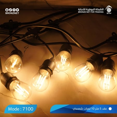 عقد لمبات زينة بطول 5 متر غير قابلة للكسر-متجر الشبكة البرونزية