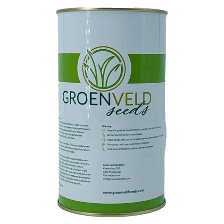 بذور البصل الأمريكي F1