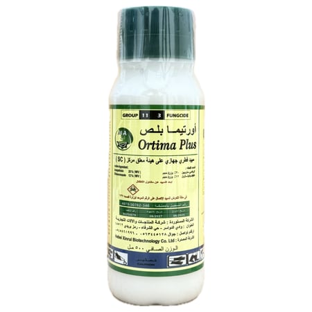 أورتيما بلص