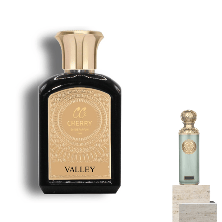 عرض 3 عطور فاخرة 75 مل بدائل عالمية بثبات عالي رجالي ونسائي – تشيري