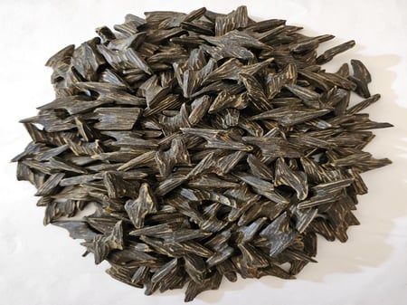 عود تايقر محسن