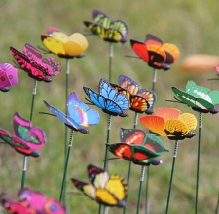 اضافه فراشه