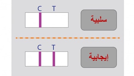 الفحص السريع لحمى المالطية في الاغنام
