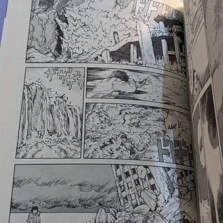 اصدار خاص صندوق مجموعة مانجا اكيرا، غلاف ثقيل.