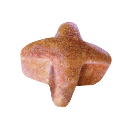 رويال كانين طعام لكلاب جيرمان شيبيرد 11 كيلو