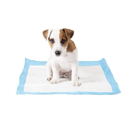ديوفو أرضية طبية للتدريب XXL 30P 60X90CM