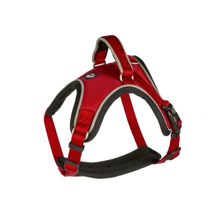 دوفو حزام نزهة الكلاب EXPLOR West harness nylon XXL