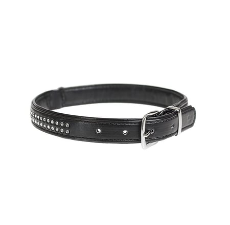 طوق للكلاب المقاس XL