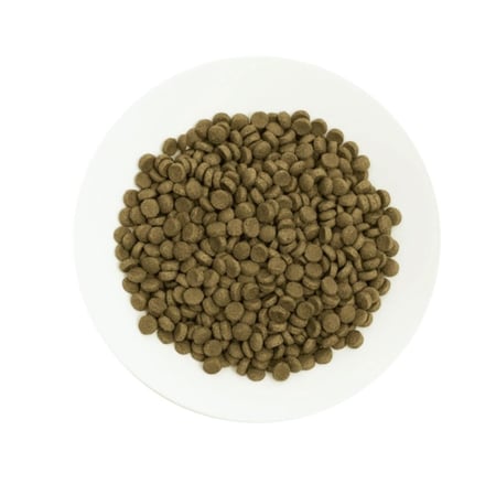 بروتشويز طعام قطط كيتن لحم ١٥ كيلو