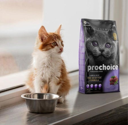 بروتشويز طعام قطط كتين لحم 15ك