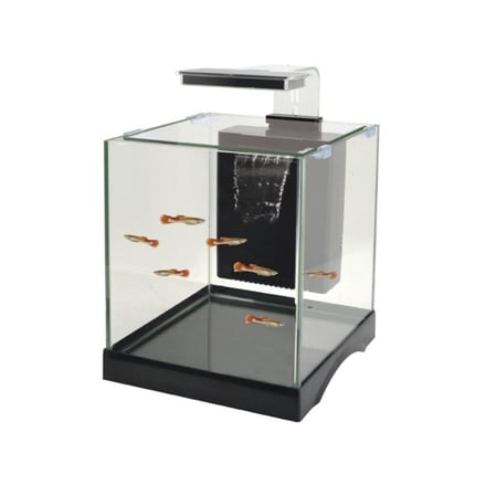 دوفين حوض ميني  DoPhin Mini tank 8003