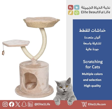 خداشة قطط Cat Scratcher