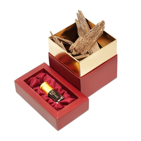 المجموعة الثنائية