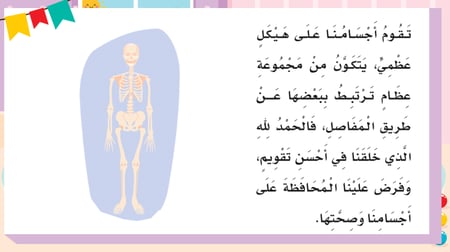 أعضاء جسمي