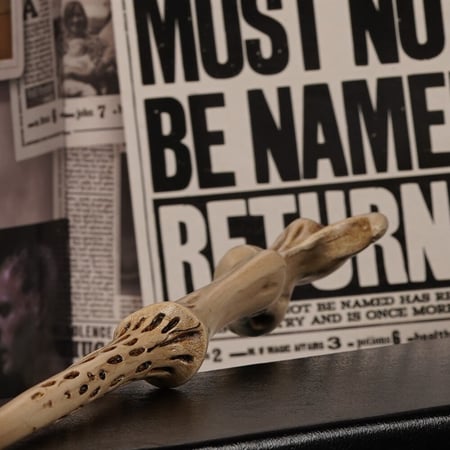 Wizarding World- Voldemort's Wand