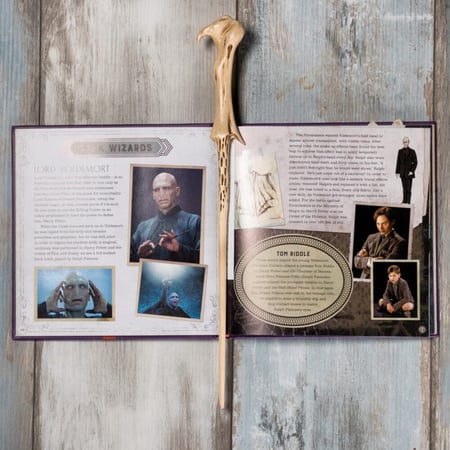 Wizarding World- Voldemort's Wand