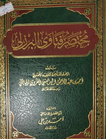 مختصر فتاوى البرزلي