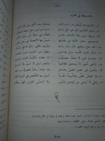 ديوان ابن معصوم