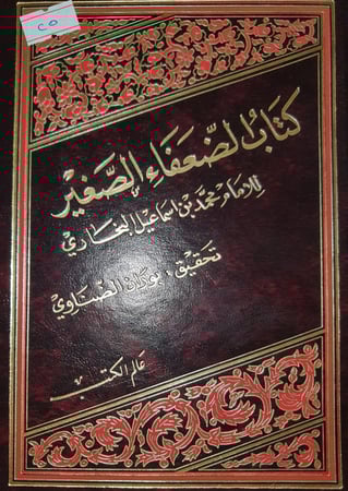 الضعفاء الصغير