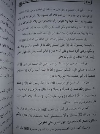 تنبيه ذوي العقول السليمة